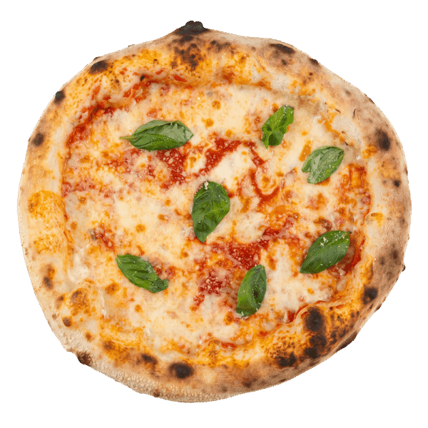Pizza Margherita