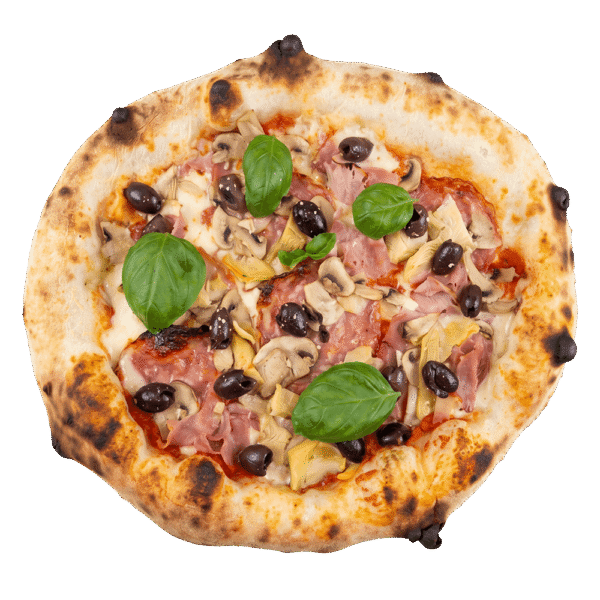 Pizza Quattro Stagioni